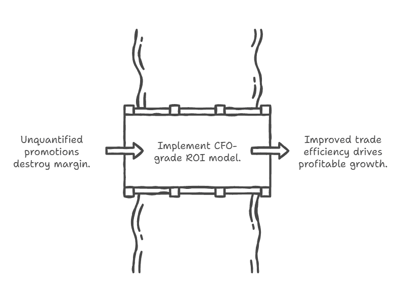 CFO analytics for ROI growth.